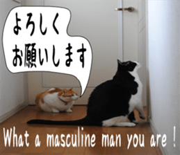 sticker japan cat&gin Photo version 6 sticker #13927484