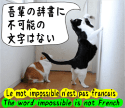 sticker japan cat&gin Photo version 6 sticker #13927486