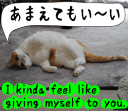 sticker japan cat&gin Photo version 6 sticker #13927490