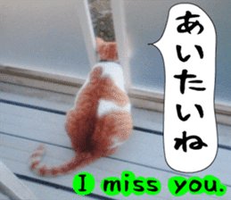 sticker japan cat&gin Photo version 6 sticker #13927491