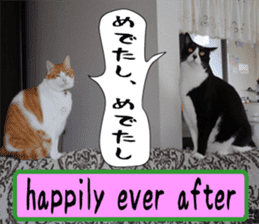 sticker japan cat&gin Photo version 6 sticker #13927495