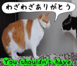 sticker japan cat&gin Photo version 6 sticker #13927496