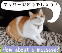 sticker japan cat&gin Photo version 6 sticker #13927497