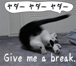 sticker japan cat&gin Photo version 6 sticker #13927499