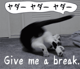 sticker japan cat&gin Photo version 6 sticker #13927499