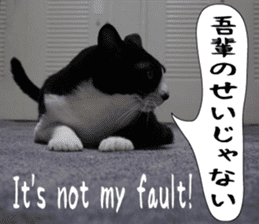 sticker japan cat&gin Photo version 6 sticker #13927501