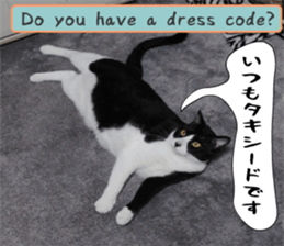 sticker japan cat&gin Photo version 6 sticker #13927502