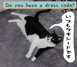 sticker japan cat&gin Photo version 6 sticker #13927502