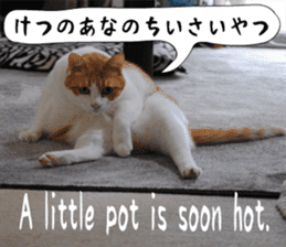 sticker japan cat&gin Photo version 6 sticker #13927504