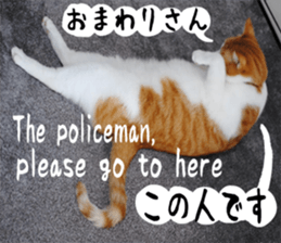 sticker japan cat&gin Photo version 6 sticker #13927507
