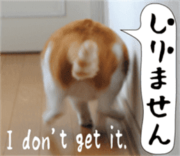 sticker japan cat&gin Photo version 6 sticker #13927509