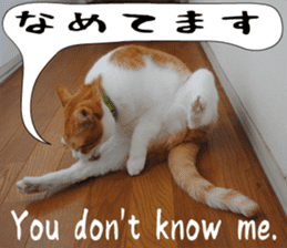 sticker japan cat&gin Photo version 6 sticker #13927510