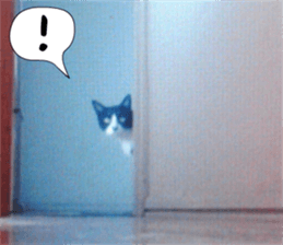 sticker japan cat&gin Photo version 6 sticker #13927512