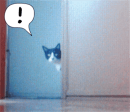 sticker japan cat&gin Photo version 6 sticker #13927512