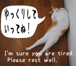 sticker japan cat&gin Photo version 6 sticker #13927515