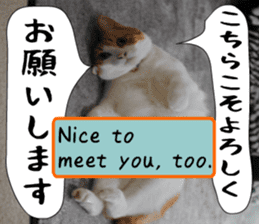 sticker japan cat&gin Photo version 6 sticker #13927516