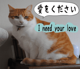 sticker japan cat&gin Photo version 6 sticker #13927517