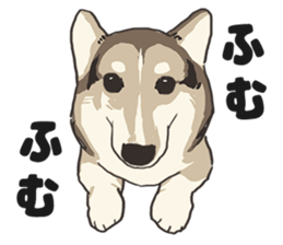 LOVE Corgi ! sticker #13928080