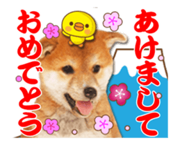 It moves! Cute dogs sticker #13928750