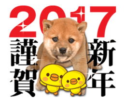 It moves! Cute dogs sticker #13928751