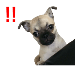 Boncray and Perona sticker #13929270