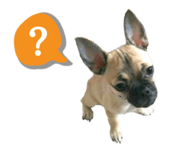 Boncray and Perona sticker #13929271