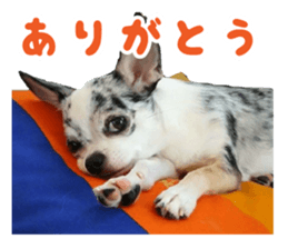 Boncray and Perona sticker #13929275