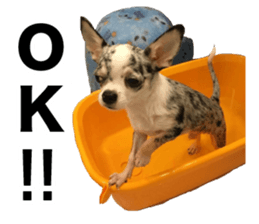 Boncray and Perona sticker #13929276