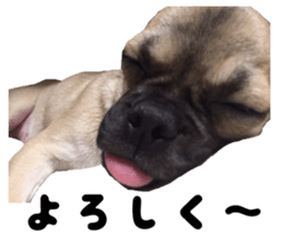 Boncray and Perona sticker #13929277