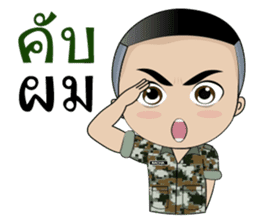 this is army sticker #13929990