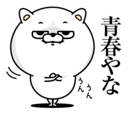 Cat eyes are not laughing2 sticker #13930347