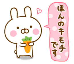 Rabbit Usahina friendly 2 sticker #13930706
