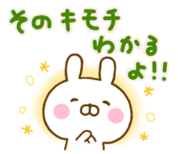 Rabbit Usahina friendly 2 sticker #13930710