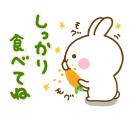 Rabbit Usahina friendly 2 sticker #13930729