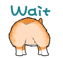 Rear of Corgi [Animation] English Ver. sticker #13930785