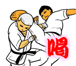 Karate-Man 3 sticker #13934511