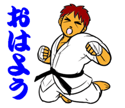 Karate-Man 3 sticker #13934514
