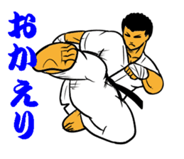 Karate-Man 3 sticker #13934520