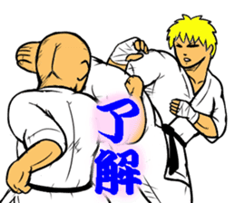 Karate-Man 3 sticker #13934523