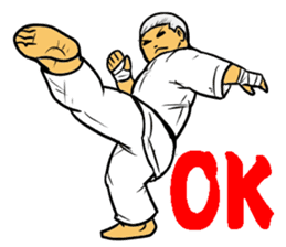 Karate-Man 3 sticker #13934524