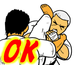Karate-Man 3 sticker #13934527