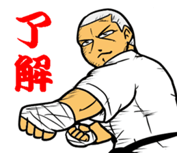 Karate-Man 3 sticker #13934533
