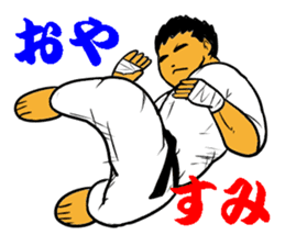 Karate-Man 3 sticker #13934534
