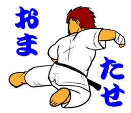 Karate-Man 3 sticker #13934546