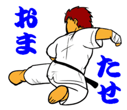 Karate-Man 3 sticker #13934546