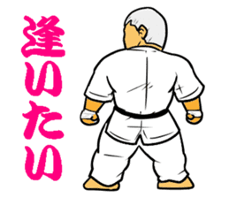 Karate-Man 3 sticker #13934548