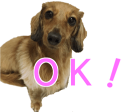 KUUU-chan sticker #13934726