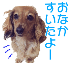 KUUU-chan sticker #13934727