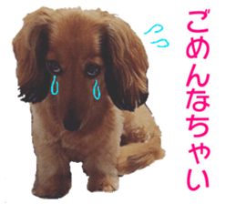 KUUU-chan sticker #13934732