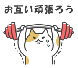 Winter cats sticker #13935075